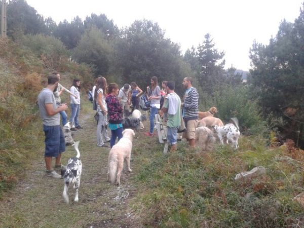 Escapada canina