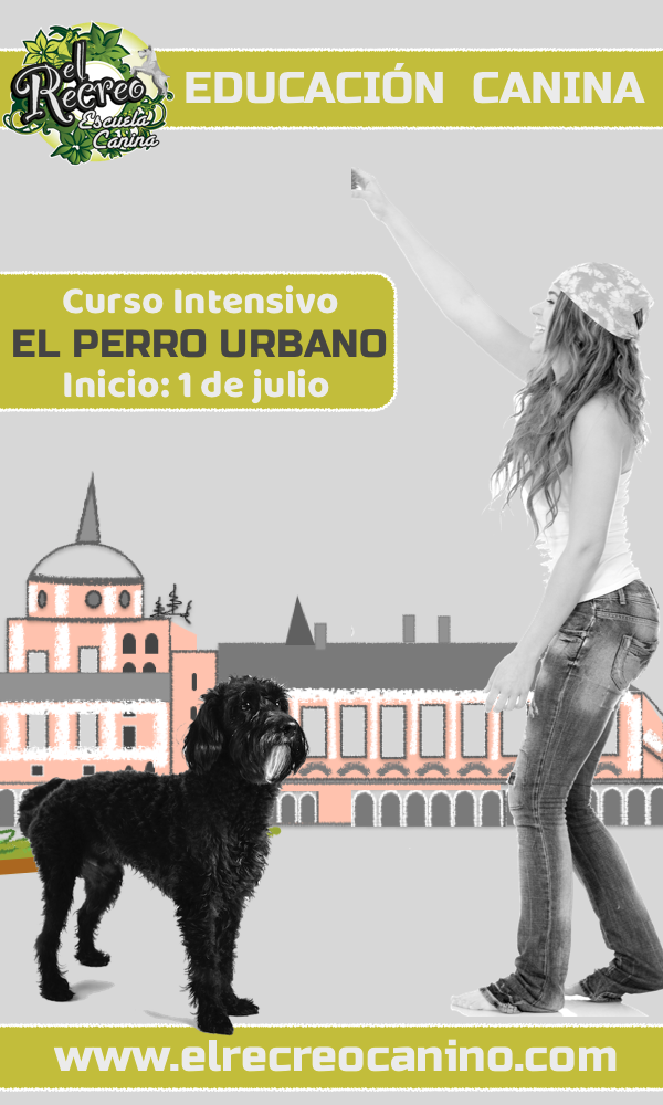 Curso adiestramiento Aranjuez