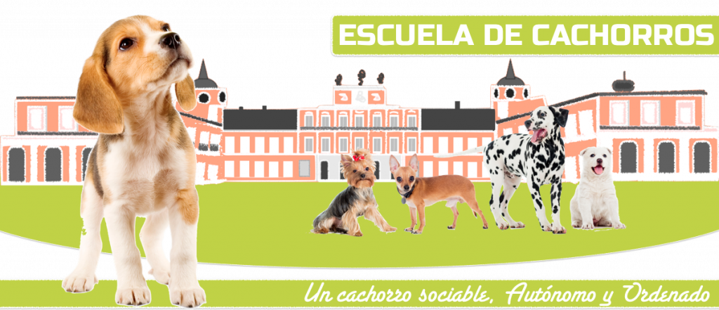 cachorros aranjuez