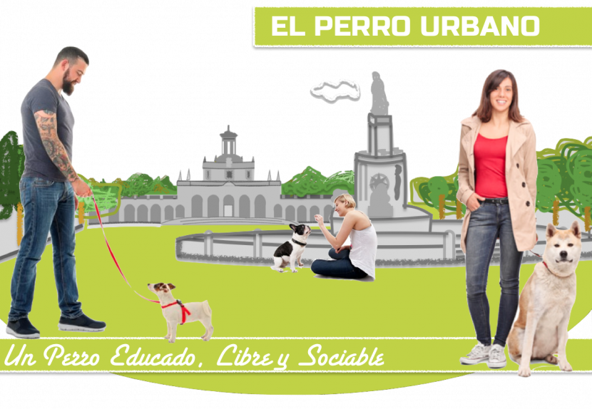 Adiestramiento Canino Aranjuez