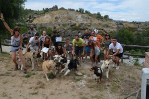 Adiestramiento aranjuez