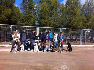 Adiestramiento Canino en Aranjuez