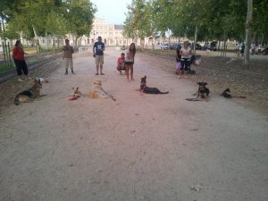 Adiestramiento aranjuez