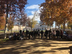 Adiestramiento aranjuez