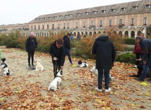 Adiestramiento aranjuez