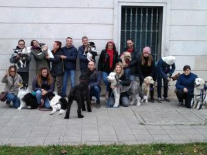 Adiestramiento aranjuez
