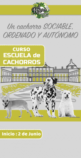 Adiestrador cachorros aranjuez Adiestrador cachorros aranjuez