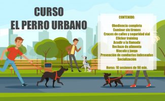fondoperros4 fondoperros4