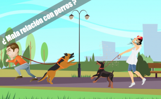 problemaconperros problemaconperros